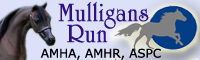 Mulligan's Run Farm