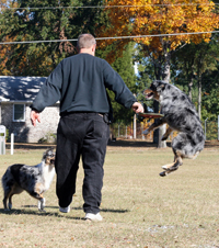 Playing Frisbee with dad